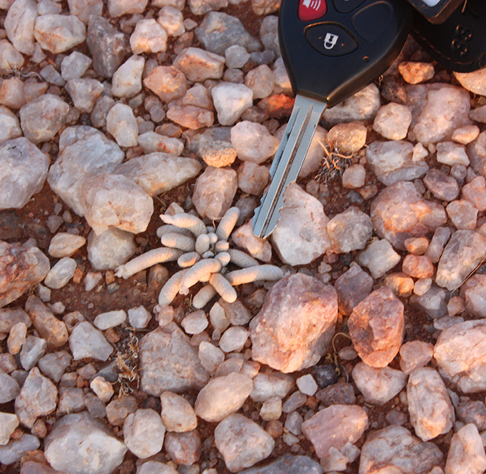 Mining [photo]